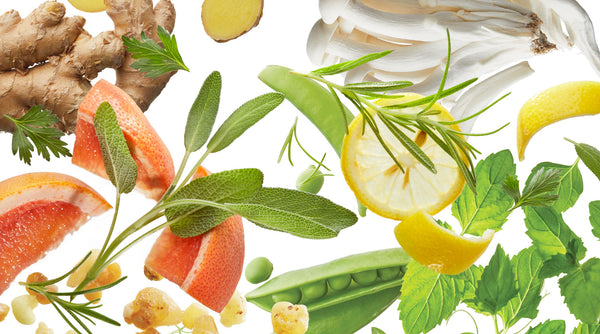 Our Favorite Botanicals: These Are Skincare Game Changers